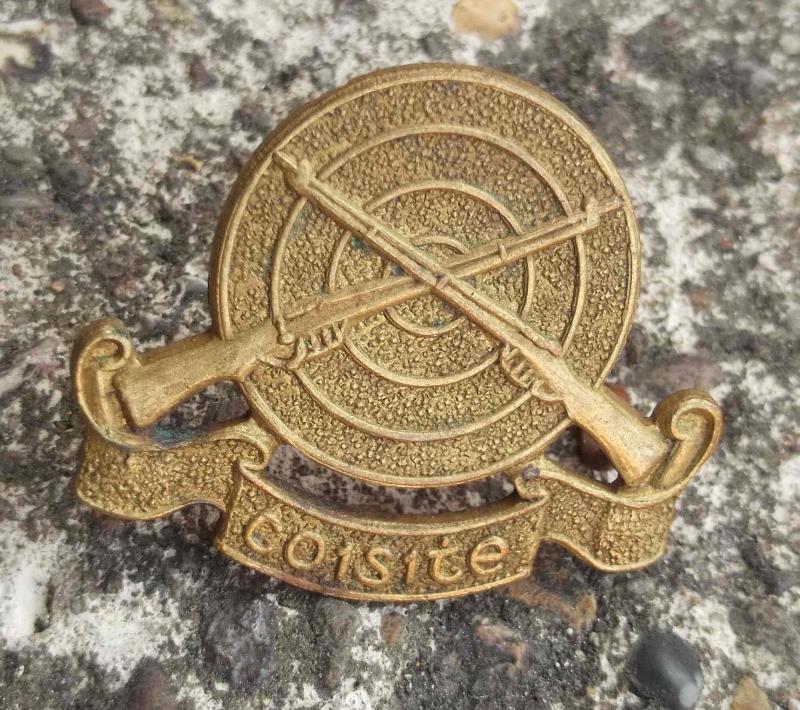 Irish Defence Force Arm of Service Badge Coisite Ireland Army Infantry
