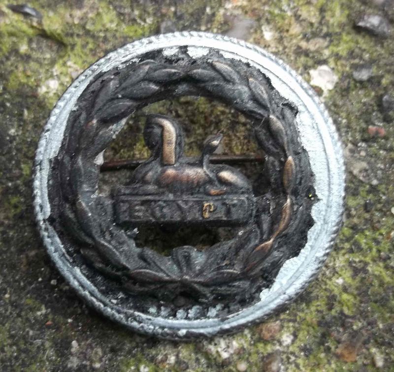 British Army Gloucester Regiment Lapel Badge