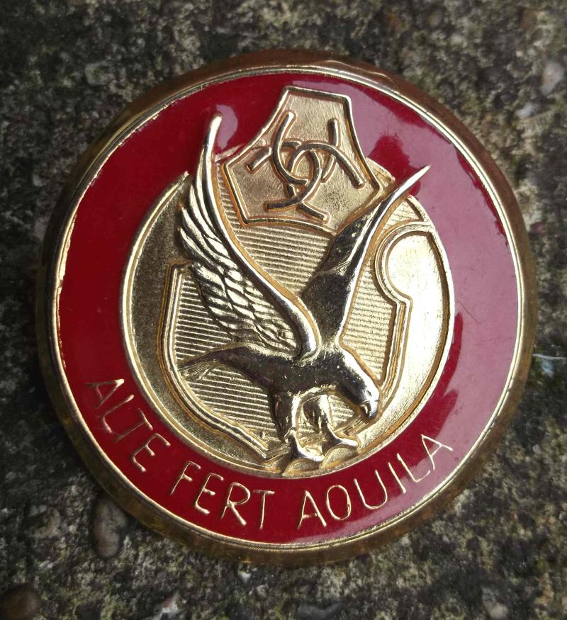 South African Army AWB Beret Badge South Africa
