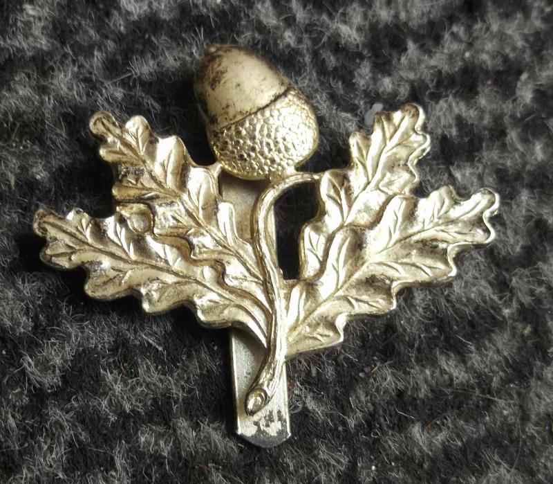 British Army South Notts Hussars Cap Badge SNH