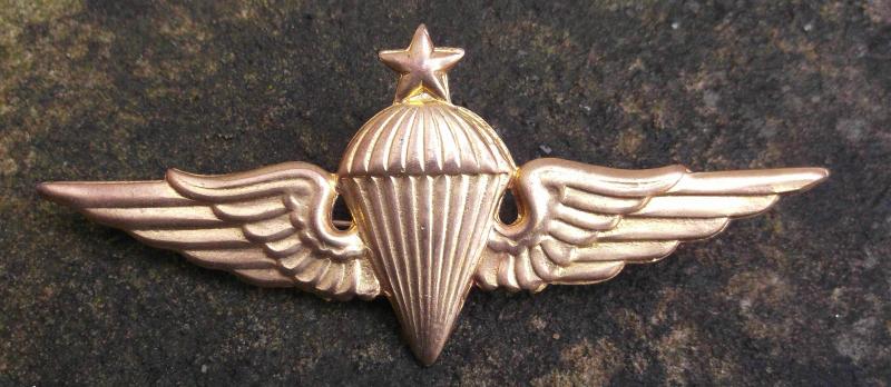 Unknown Middle East Parachute Qualification Badge Paratrooper