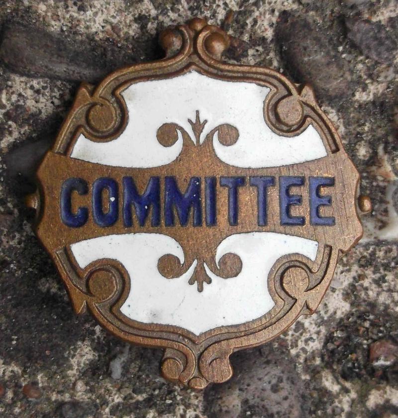 Vintage British or Commonwealth Committee Members Enamel Pin Badge