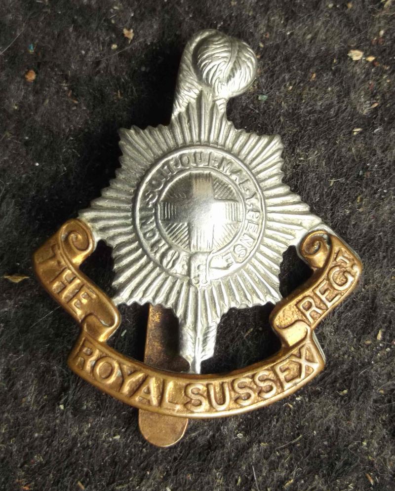 British Army Sussex Regiment Vintage Cap Badge