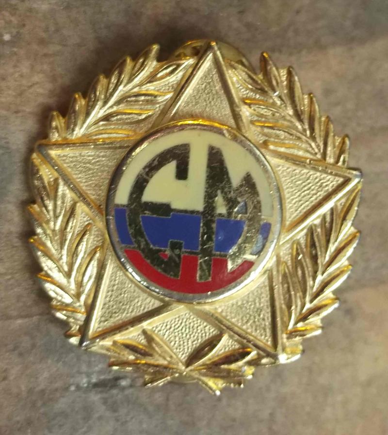Vintage Equador Military Training Pin Badge EM