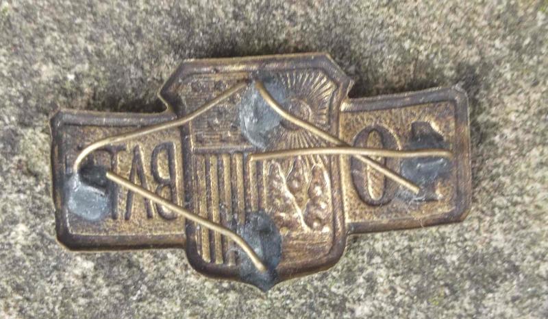 US New York State Militia 10th Battalion Pin Badge United States Army